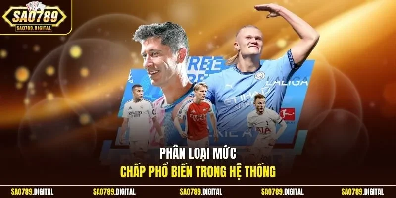 Phân loại mức chấp phổ biến trong hệ thống 
